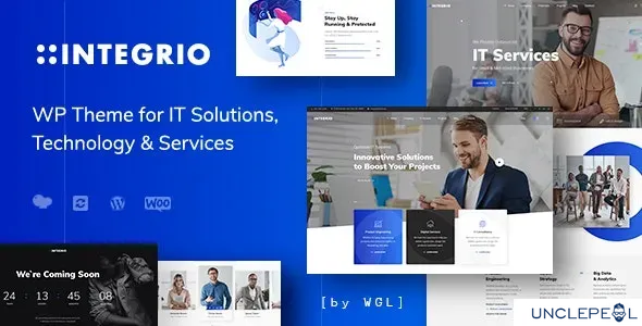 Integrio - IT 解决方案与服务公司 WordPress 主题 1.1.6 开心版