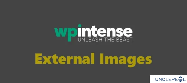 External Images by WP Intense 2.98