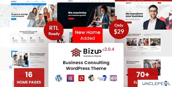 Bizup - 商业咨询 WordPress 主题 2.0.5 开心版