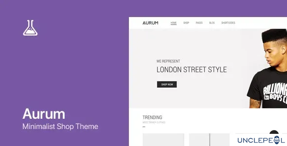 Aurum - WordPress 与 WooCommerce 商城主题 3.17