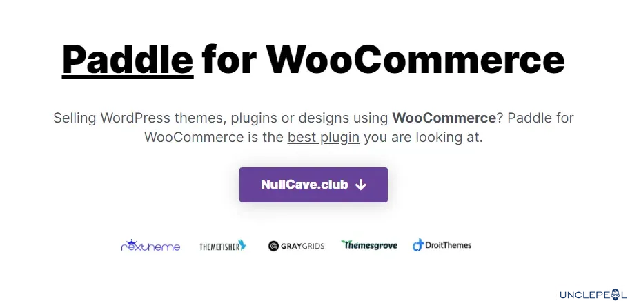 WooCommerce Paddle 网关1.2.2 开心版