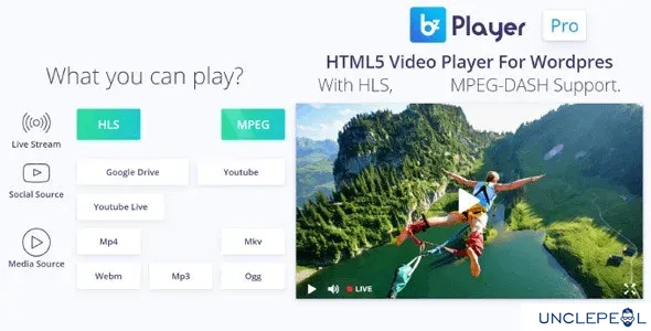 bzplayer Pro - 实时流媒体播放器 WordPress 插件 2.1