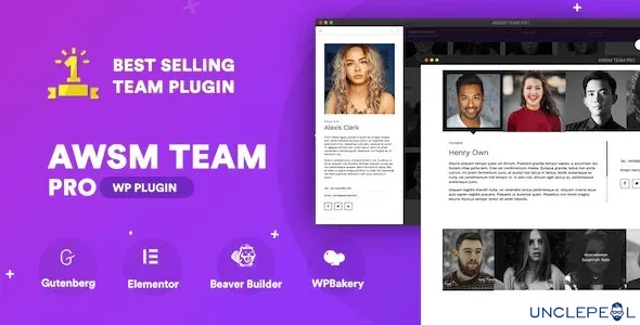The Team Pro - 团队展示 WordPress 插件1.11.1