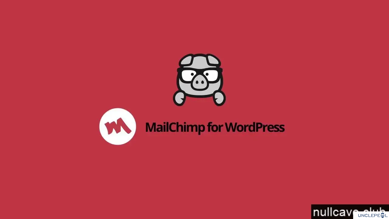 MC4WP: Mailchimp for WordPress Premium4.9 开心版