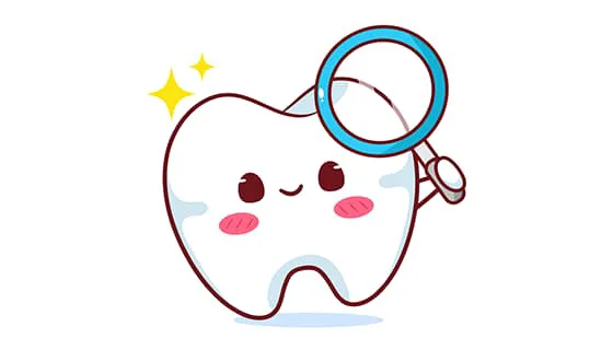 拿着放大镜的可爱牙齿矢量素材(EPS)