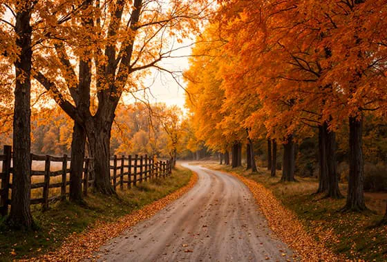 美丽的秋天景色图片素材(JPG)一