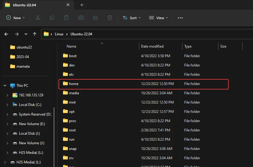 如何使用Windows GUI查找WSL主目录？