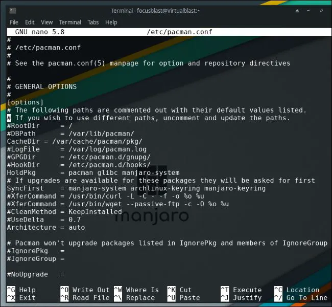 如何在 Linux 上下载和安装Steam