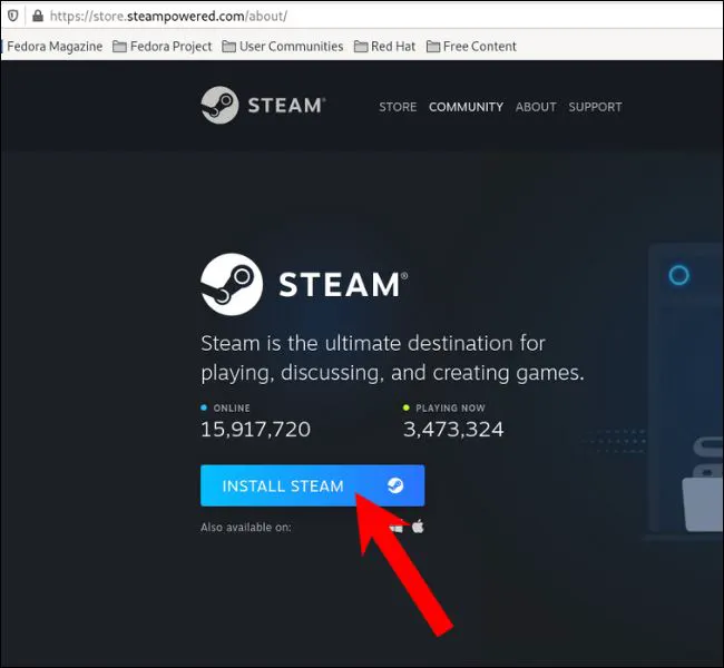 如何在 Linux 上下载和安装Steam