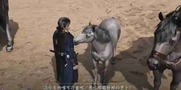 燕云十六声伏马庄祁氏家驯如何完成 伏马庄祁氏家驯完成方法
