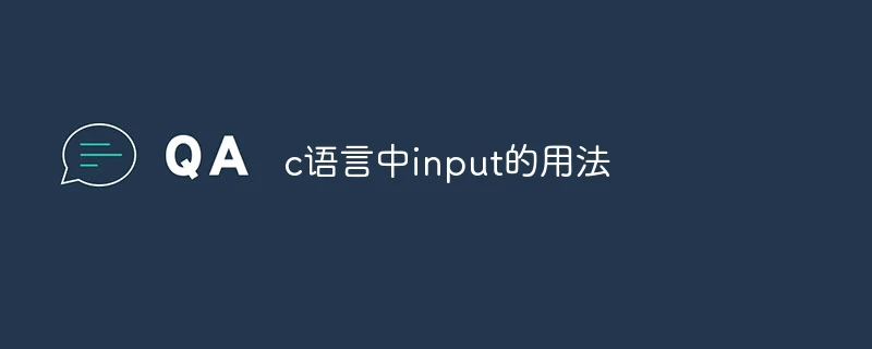 c语言中input的用法
