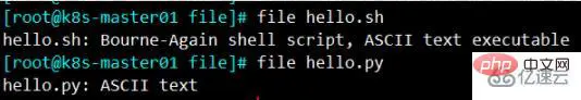 linux执行文件指的是什么