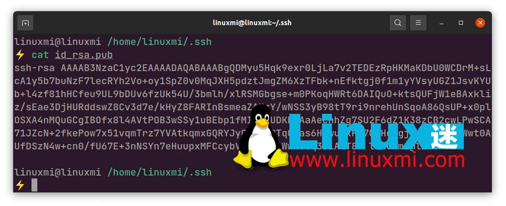如何在 Linux 上设置私有 Git 服务器
