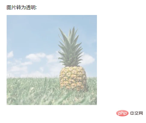 1637313964164620.png 1119.31.png