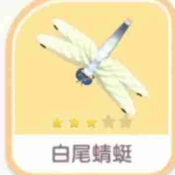 心动小镇手游白尾蜻蜓刷新在哪里 白尾蜻蜓新地点出没指南
