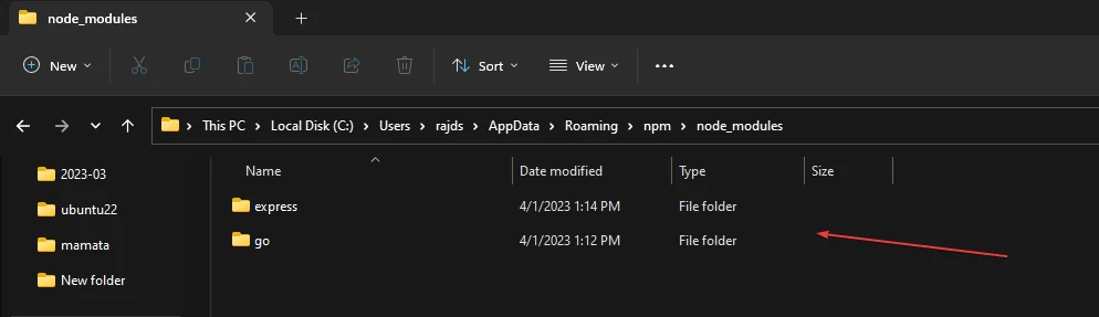 Windows 10 中 npm 软件包的默认安装位置在哪里?