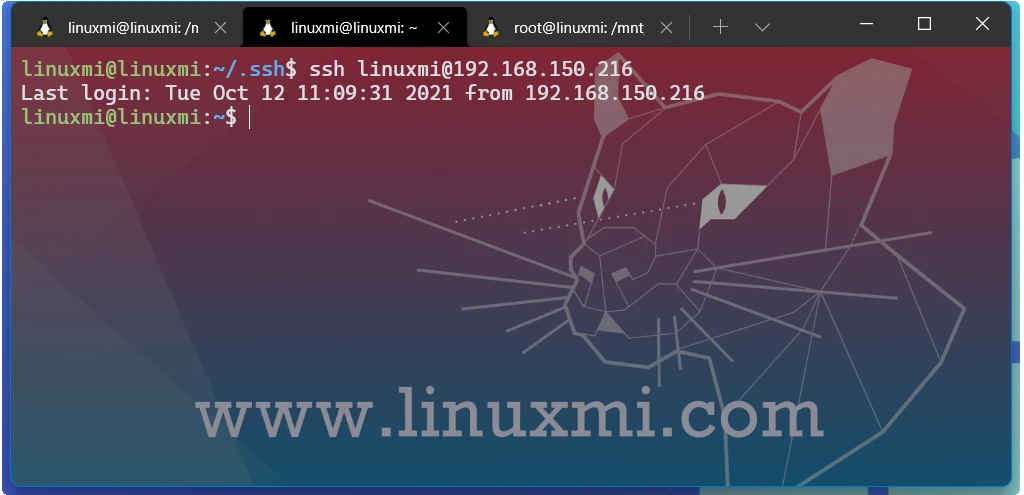 超级强大!Linux 下 6 个终极 SSH 客户端