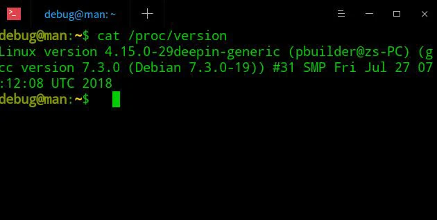 deepin系统版本号怎么看? deepin系统查看系统版本信息的技巧