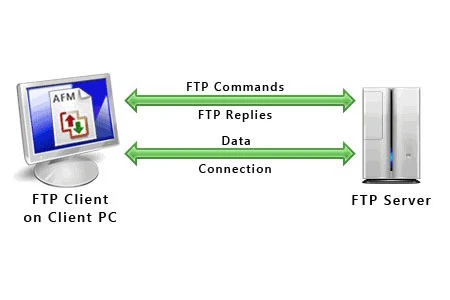 HTTP和FTP之间有哪些区别