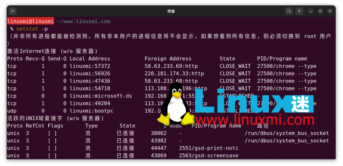 如何监控 Linux 上进程的网络使用情况