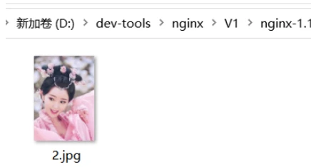 nginx如何设置资源请求目录
