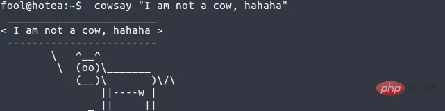 19个有趣的Linux 命令,最后一个?... 打死我都不敢尝试!