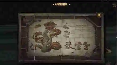 哈利波特魔法觉醒萝宾和费舍尔兄弟在球场拼图位置在哪 地点散布状况