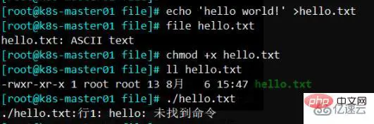 linux执行文件指的是什么