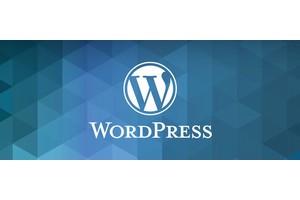 WordPress 插件、主题与PHP8的兼容性