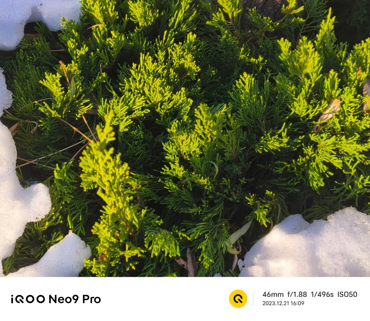 iQOO Neo9 Pro评测：内外兼顾 焕然一新