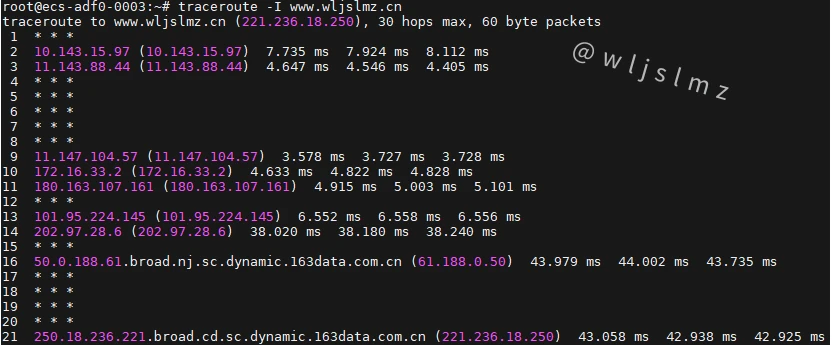老板让我在Linux中使用traceroute排查服务器网络问题,幸好我收藏了这篇文章!