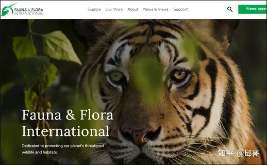 wordpress cms网站有哪些