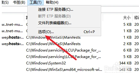 Everything怎么启用ftp服务器 everything开启ftp方法步骤