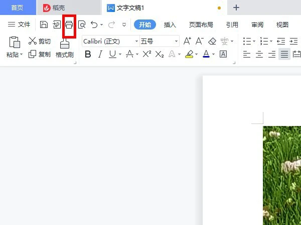wps怎么打印固定文档页 wps打印固定文档页方法