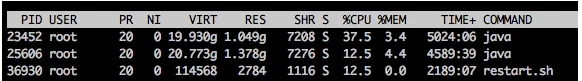 Linux虚拟内存,你理解到位了?