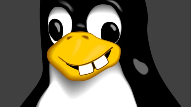 如何在 Linux 中不输入密码运行 sudo 命令