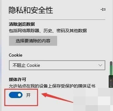 microsoft edge媒体许可怎么开启_microsoft edge媒体许可开启方法