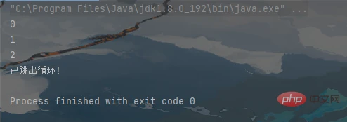 Java逻辑控制怎么使用