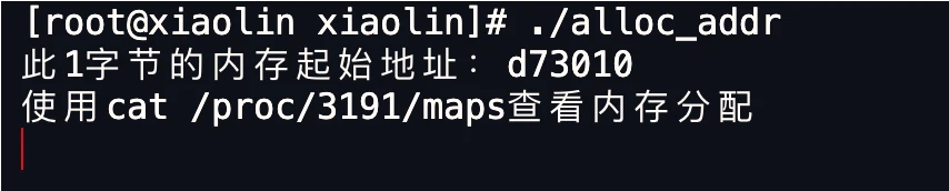 一文读懂 Linux 内存分配策略