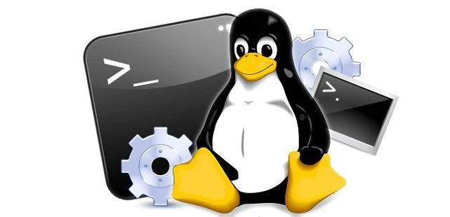 探秘 Linux 系统中的 uname 命令