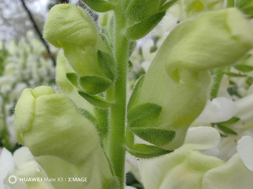 以轻薄耐用颠覆传统折叠体验,华为Mate X3评测
