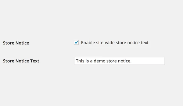 WooCommerce 常规设置：初学者综合指南