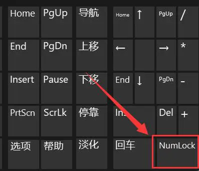 win11笔记本键盘打不了字按哪个键恢复 