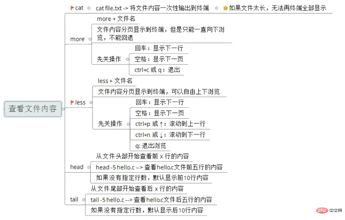 查看文件内容.jpg