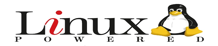 挑战你的大脑——玩转Linux数字游戏