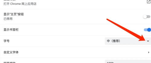 谷歌浏览器Google Chrome For Mac如何设置字号大小-设置字号大小教程