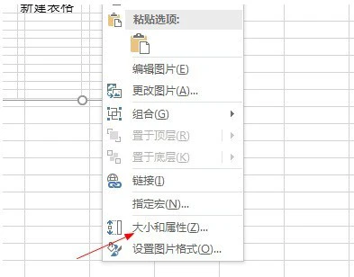 Microsoft Excel 2020怎么设置图片格式 Microsoft Excel 2020设置图片格式的方法