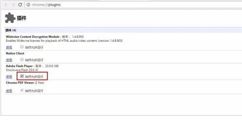 谷歌浏览器(Google Chrome)中打开flash插件的详细流程介绍