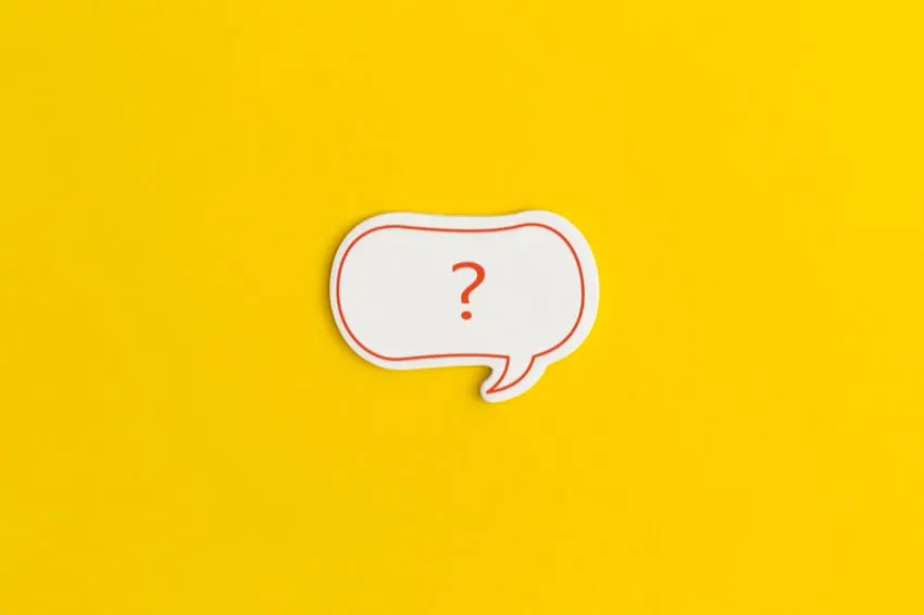 聘请专业 WordPress 网页设计师：分步指南
