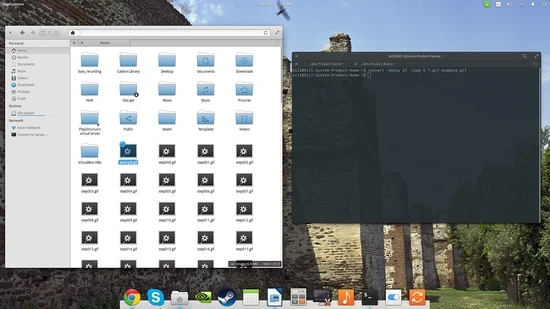 掌握Linux录制命令,为你的工作保驾护航